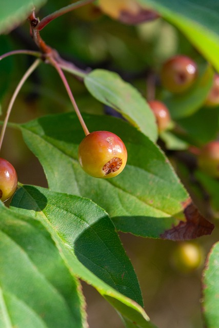 信息载体之 信息载体之