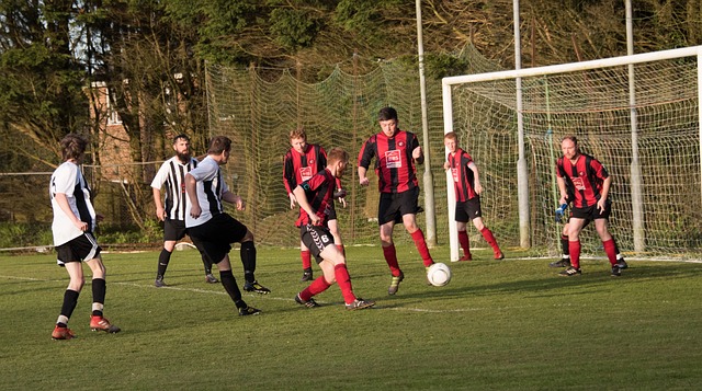 和团队合作 和团队合作