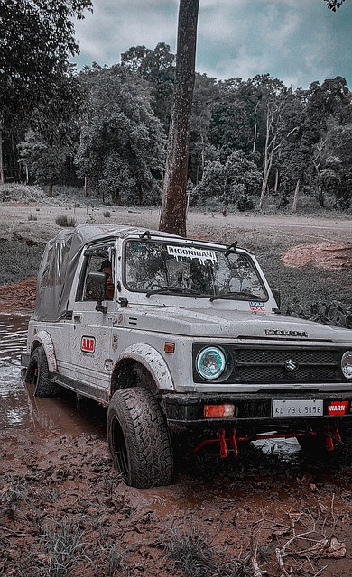 挥的选手 挥的选手