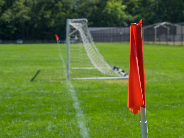 球市场变化 球市场变化