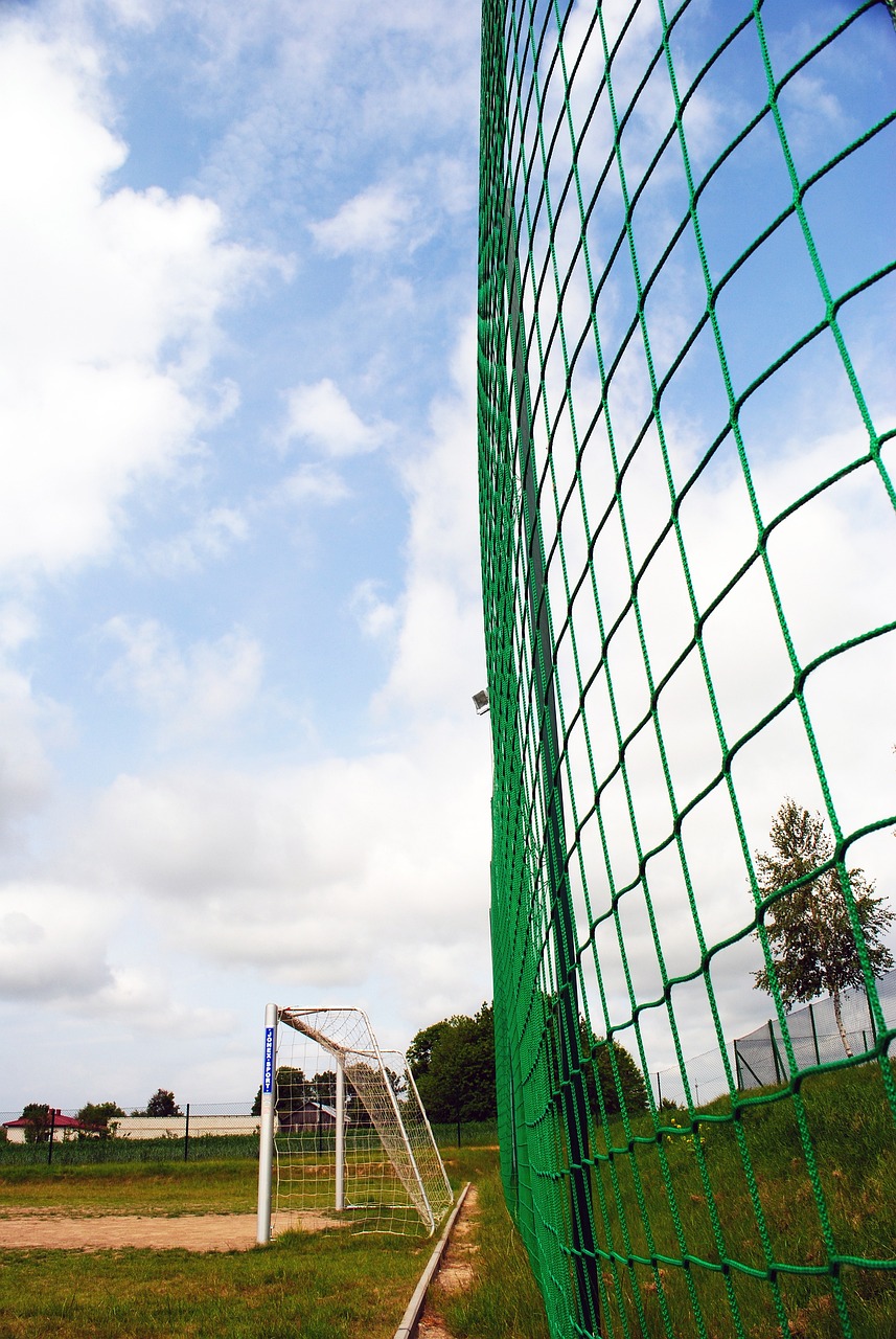 在目前激烈 在目前激烈