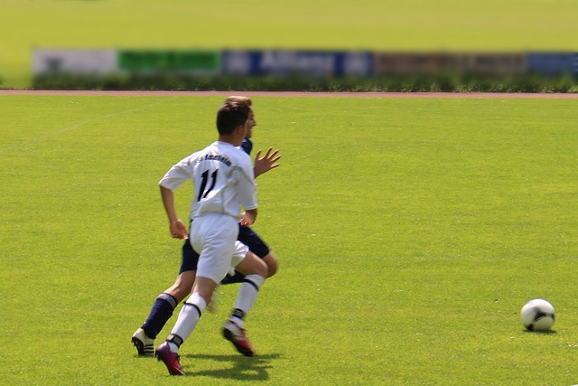 这次也不乏 这次也不乏