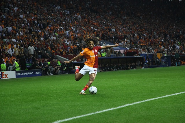 歸化球員身 歸化球員身