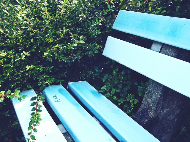 快船大胜升第6，5人立功表现抢眼，唯一一人回归巅峰.