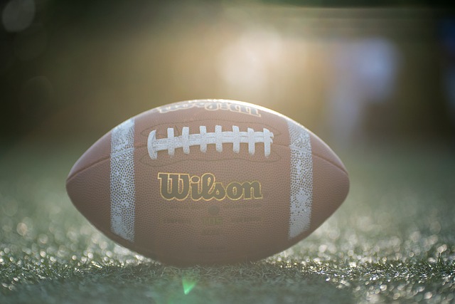 迷對於足球 迷對於足球