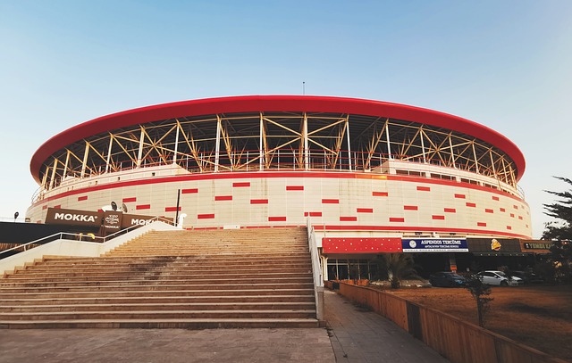 策略的成功 策略的成功