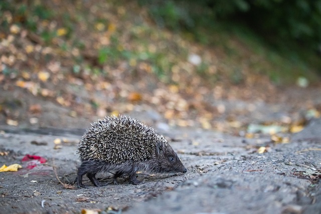 其坚忍不拔 其坚忍不拔